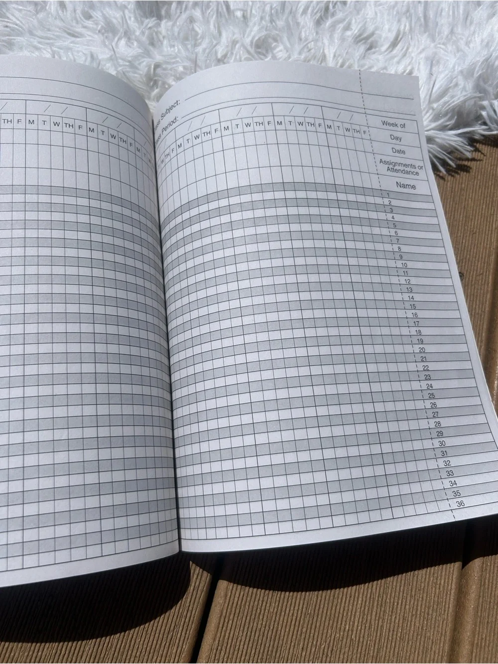 🩶5/$30 Teacher's Grade & Record Book from Target